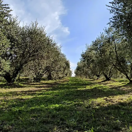 팜스테이 Il Vecchio Fienile Castell'Ottieri